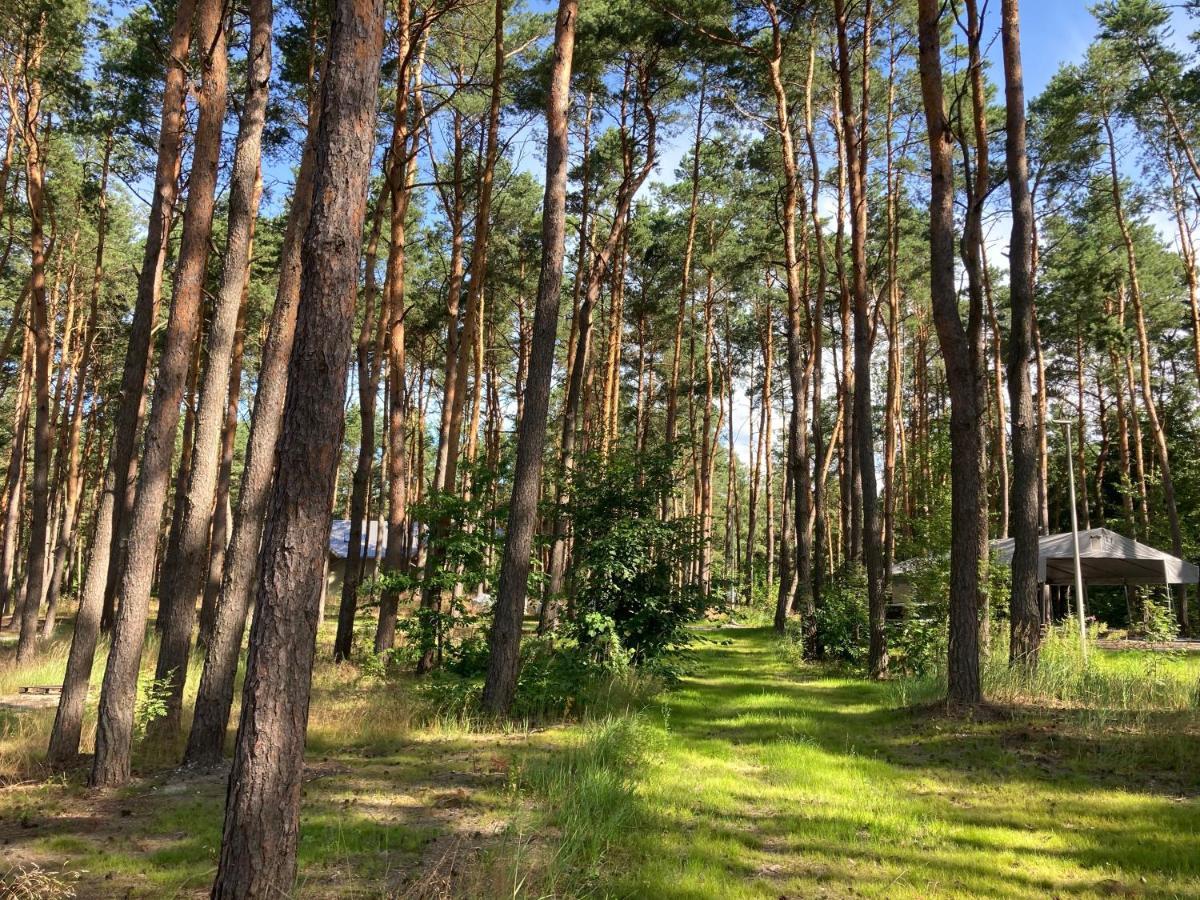 Gora Spokoju Osada Klimatyczna-Lesna Inowlodz Exterior photo