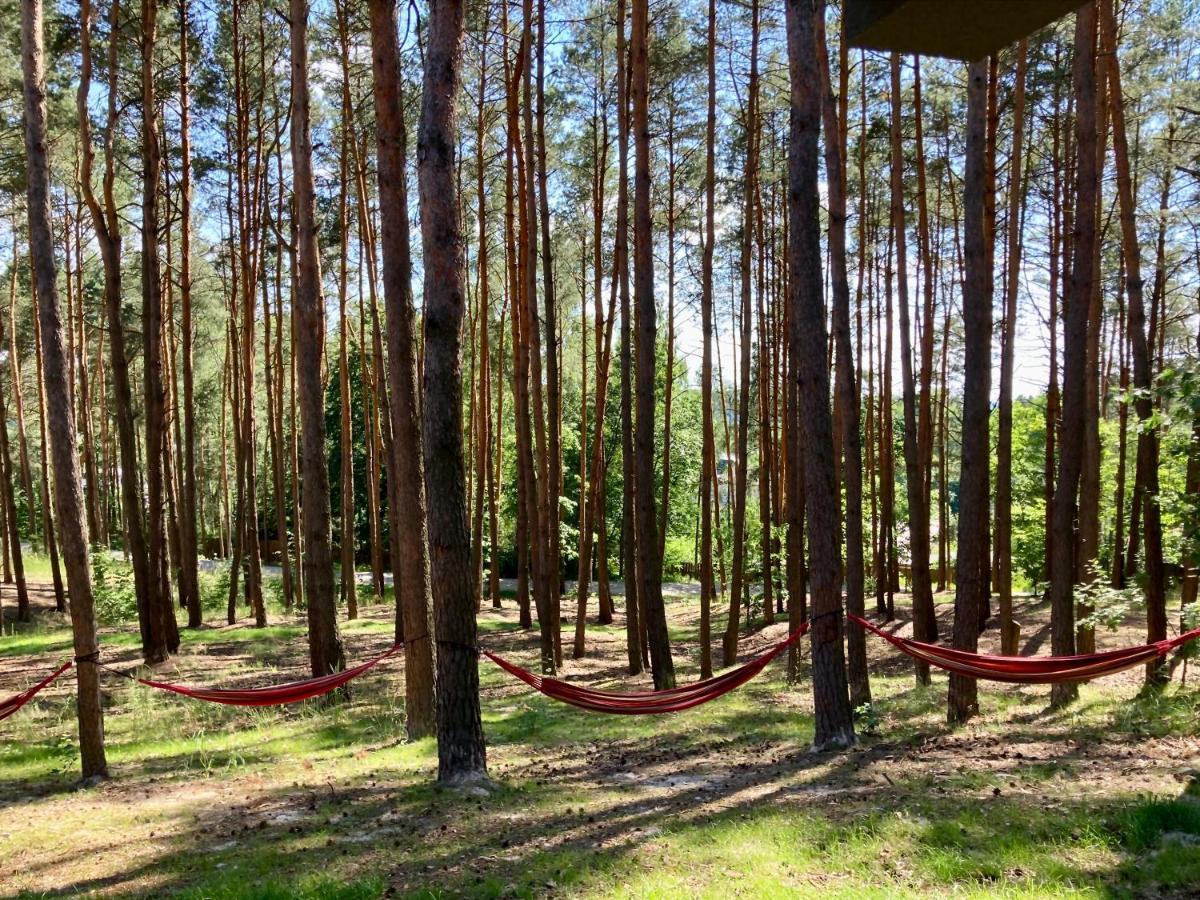 Gora Spokoju Osada Klimatyczna-Lesna Inowlodz Exterior photo